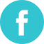 Facebook Icon